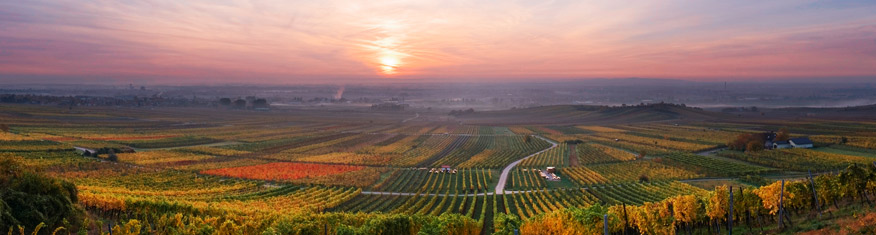 Pension Margit in Baden - Pension Margit | Ruhe und Behaglichkeit im Zentrum von Baden