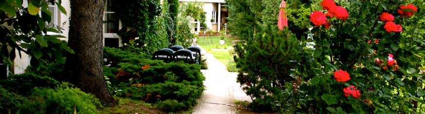 Pension Margit in Baden - Der Garten